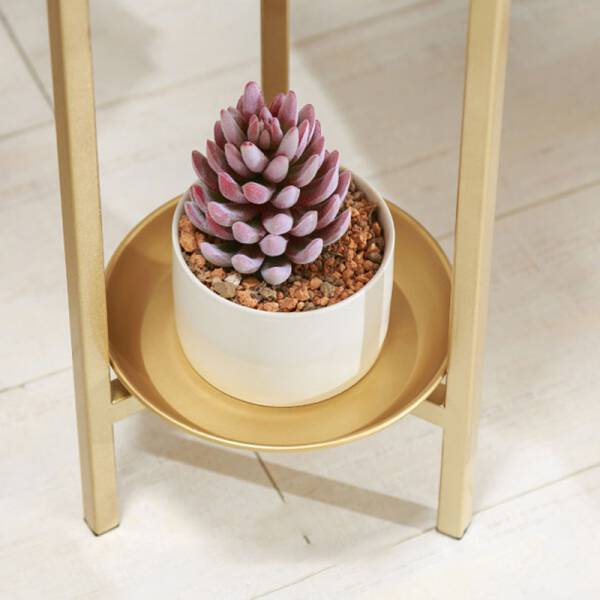 ขาย กระถางต้นไม้ตกแต่งบ้านและสวน Golden Flower Pot B ราคา