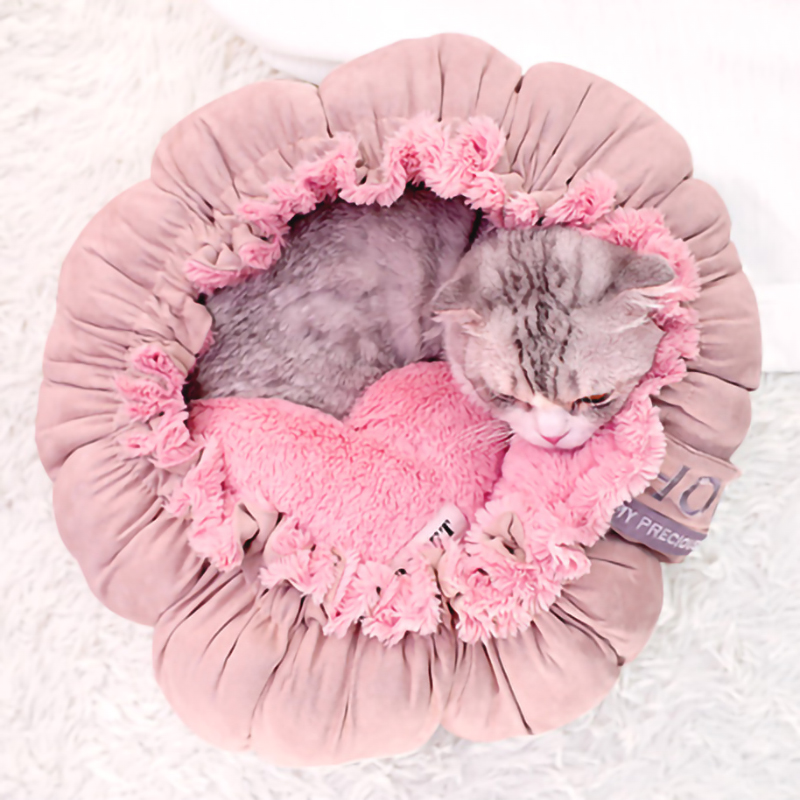 เตียงนอนแมว Bean Bag Pink Cat Bed HomeStudio