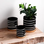 ขาย กระถางต้นไม้สำหรับตกแต่งบ้าน Zebra Flower Pot