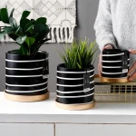 ขาย กระถางต้นไม้สำหรับตกแต่งบ้าน Zebra Flower Pot