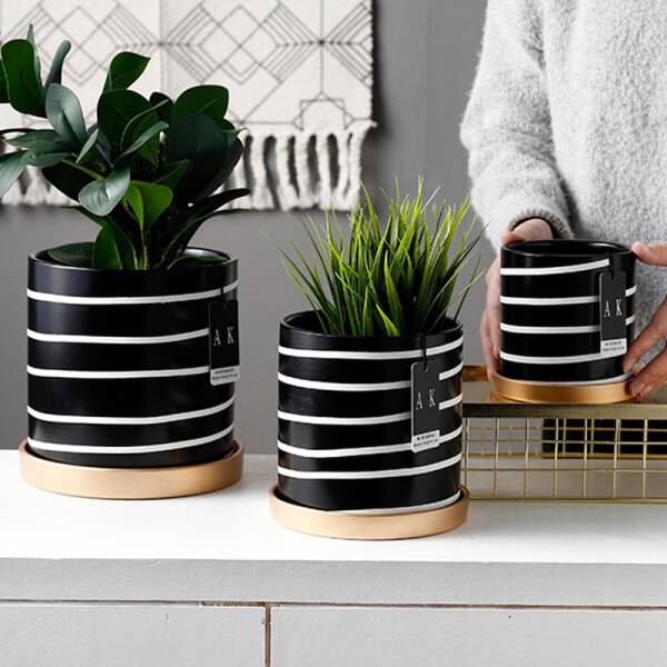 ขาย กระถางต้นไม้สำหรับตกแต่งบ้าน Zebra Flower Pot
