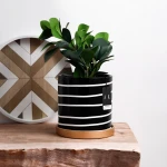 ขาย กระถางต้นไม้สำหรับตกแต่งบ้าน Zebra Flower Pot