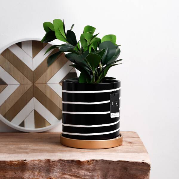 ขาย กระถางต้นไม้สำหรับตกแต่งบ้าน Zebra Flower Pot