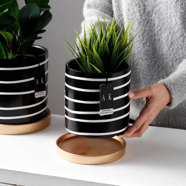 ขาย กระถางต้นไม้สำหรับตกแต่งบ้าน Zebra Flower Pot