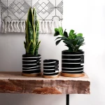 ขาย กระถางต้นไม้สำหรับตกแต่งบ้าน Zebra Flower Pot