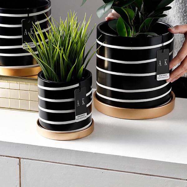 ขาย กระถางต้นไม้สำหรับตกแต่งบ้าน Zebra Flower Pot