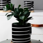 ขาย กระถางต้นไม้สำหรับตกแต่งบ้าน Zebra Flower Pot