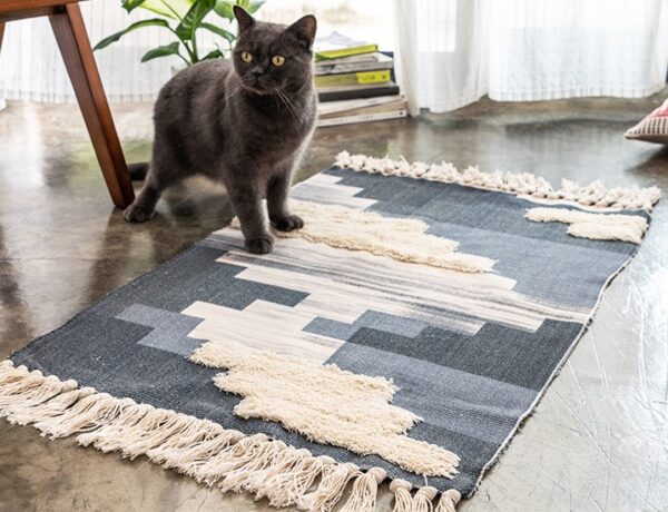 ขาย พรมแต่งบ้าน Decor Door Rug