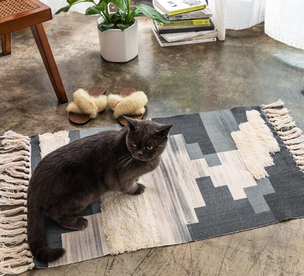 ขาย พรมแต่งบ้าน Decor Door Rug