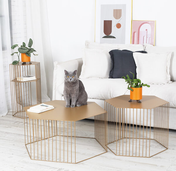 ขาย โต๊ะกลางหกเหลี่ยม Steel Hexagon Coffee Table