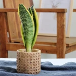 ขาย กระถางต้นไม้สำหรับตกแต่งบ้านและสวน Mediterranean Flower Pot