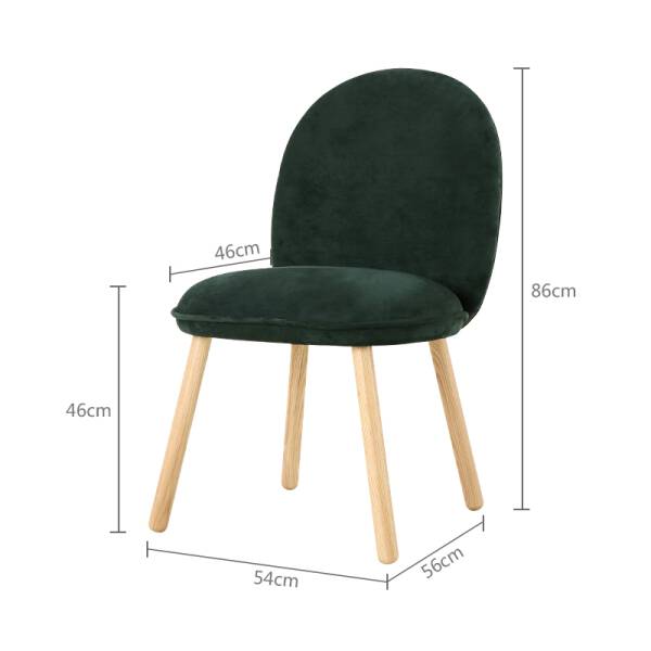 ขาย เก้าอี้พร้อมพนักพิงสำหรับตกแต่งบ้าน Velvet Decorating Chair