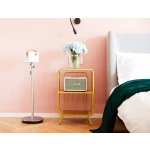 ขาย โต๊ะข้างโซฟาข้างเตียงเหล็ก Golden Side Table