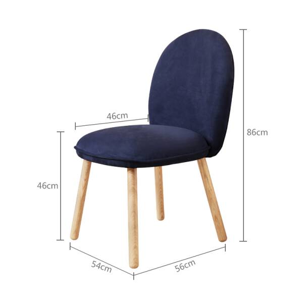 ขาย เก้าอี้พร้อมพนักพิงสำหรับตกแต่งบ้าน Velvet Decorating Chair
