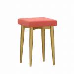 ขาย เก้าอี้สำหรับตกแต่งบ้าน Decorating Chair III