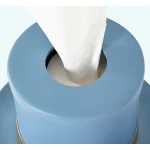 ขาย กล่องทิชชู่ทรงหมวก Hat Tissue Box