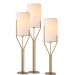 ขาย โคมไฟตั้งพิ้นสำหรับตกแต่งห้อง Golden Decorative Floor Lamp