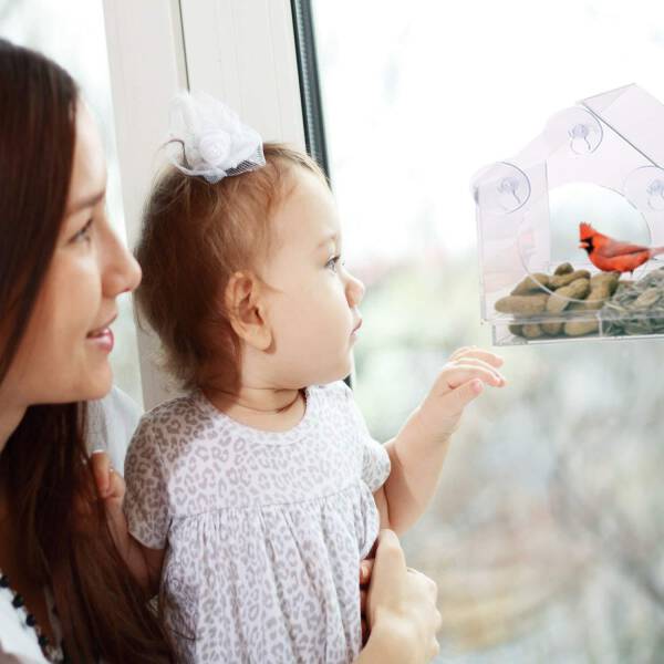 ขาย บ้านนกติดผนัง Public Bird Box