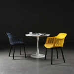 ขาย เก้าอี้โต๊ะอาหาร Designed Dining Chair II