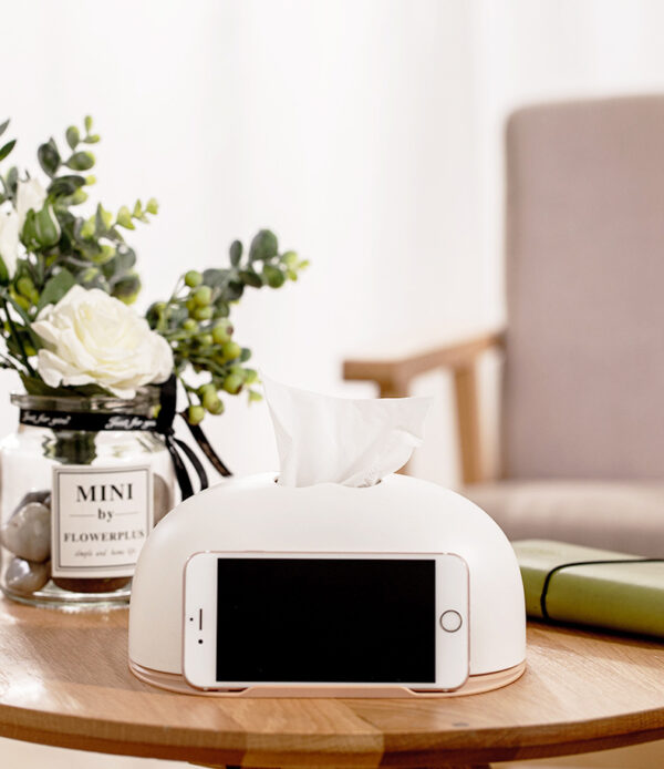 ขาย ที่ใส่กระดาษทิชชู่ตั้งโต๊ะ Mobile Stand Tissue Box II