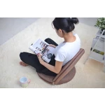 ขาย เก้าอี้พับเก็บได้ Backrest Chair