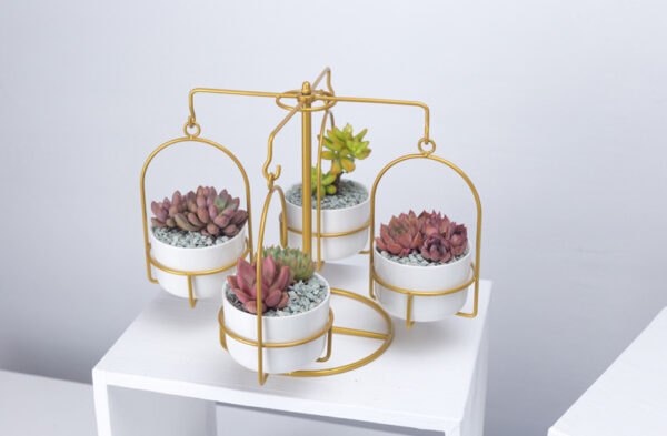 ขาย ชุดกระถางต้นไม้ชิงช้าหมุน Carousel Flower Pot