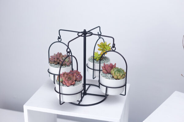 ขาย ชุดกระถางต้นไม้ชิงช้าหมุน Carousel Flower Pot