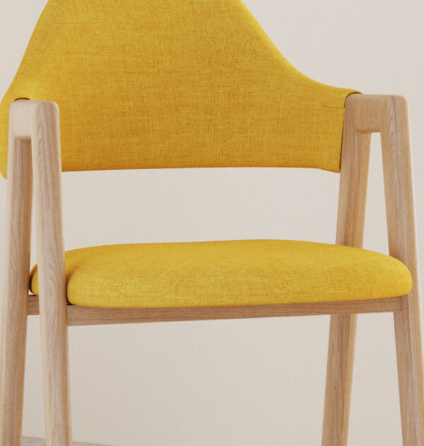 ขาย เก้าอี้สำหรับตกแต่งบ้าน Dining Chair IX