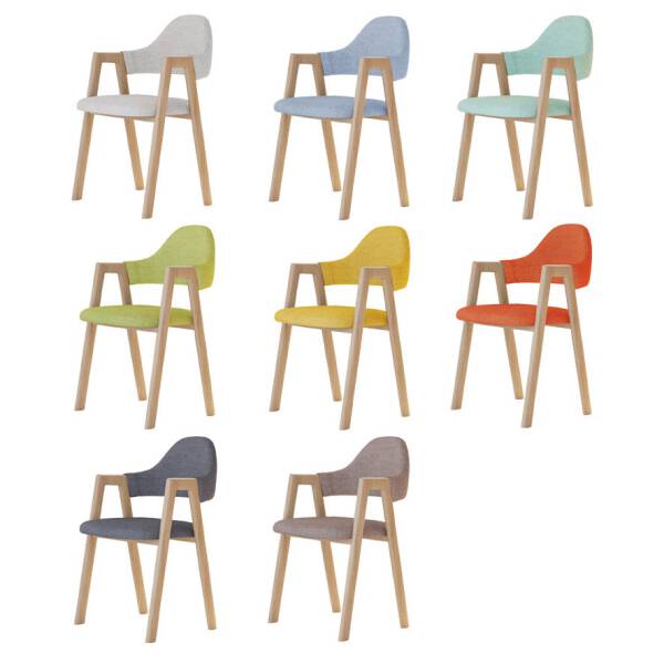 ขาย เก้าอี้สำหรับตกแต่งบ้าน Dining Chair IX