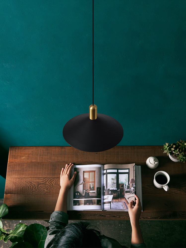 ขาย โคมไฟติดเพดานสำหรับตกแต่งบ้าน Style Ceiling Lamp
