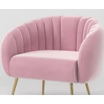 ขาย เก้าอี้สำหรับตกแต่งบ้าน Velvet Decorative Chair III