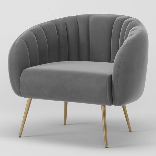 ขาย เก้าอี้สำหรับตกแต่งบ้าน Velvet Decorative Chair III