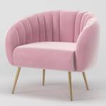 ขาย เก้าอี้สำหรับตกแต่งบ้าน Velvet Decorative Chair III