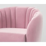 ขาย เก้าอี้สำหรับตกแต่งบ้าน Velvet Decorative Chair III