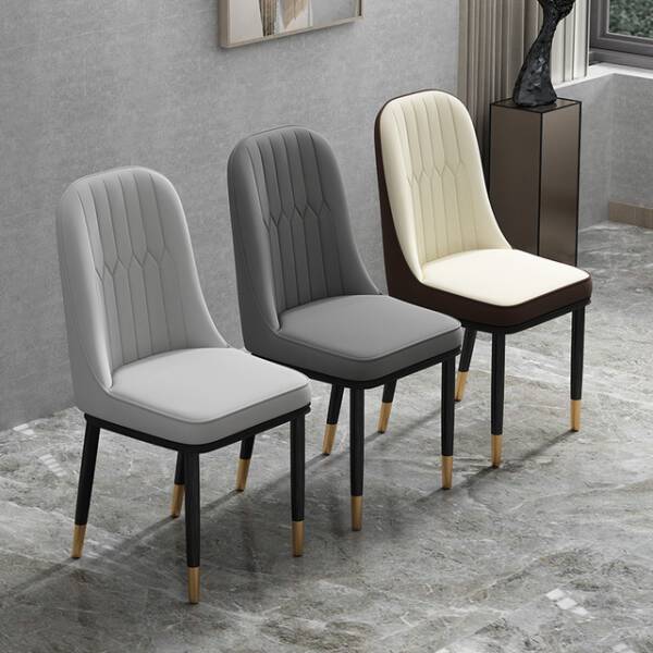 ขาย เก้าอี้สำหรับตกแต่งบ้าน Dining Chair XI
