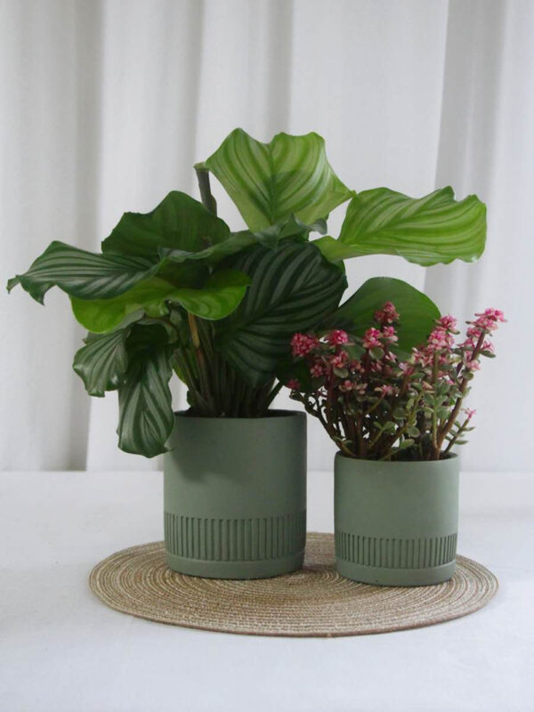 ขาย กระถางต้นไม้สำหรับตกแต่งบ้าน Ceramic Flower Pot V