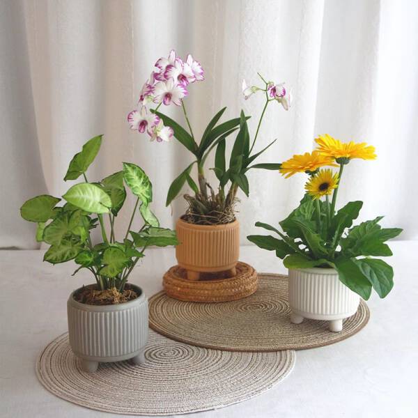 กระถางต้นไม้สำหรับตกแต่งบ้าน – Ceramic Flower Pot III
