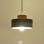 ขาย โคมไฟไม้ติดเพดาน Minimal Ceiling Lamp