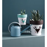 ขาย บัวรดน้ำสไตล์มินิมอล Watering Pot