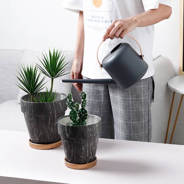 ขาย บัวรดน้ำสไตล์มินิมอล Watering Pot