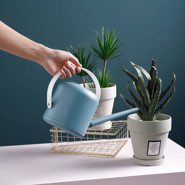 ขาย บัวรดน้ำสไตล์มินิมอล Watering Pot