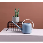 ขาย บัวรดน้ำสไตล์มินิมอล Watering Pot