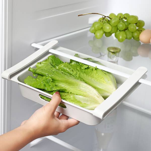 ขาย ลิ้นชักเก็บอาหาร Refrigerator Storage Drawer