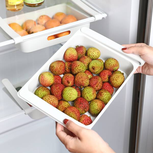 ขาย ลิ้นชักเก็บอาหาร Refrigerator Storage Drawer