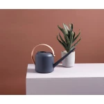 ขาย บัวรดน้ำสไตล์มินิมอล Watering Pot