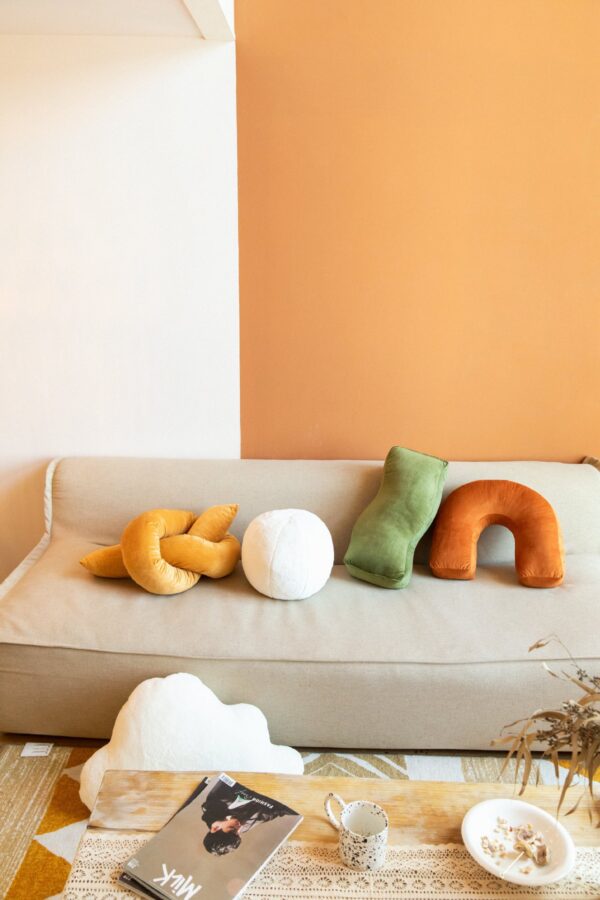ขาย หมอนอิงตกแต่งบ้าน Designed Decor Pillow