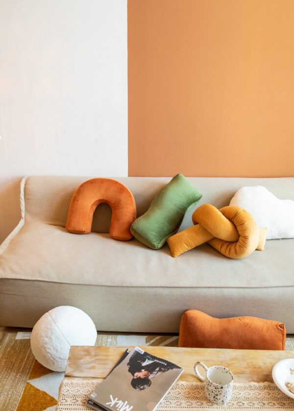ขาย หมอนอิงตกแต่งบ้าน Designed Decor Pillow