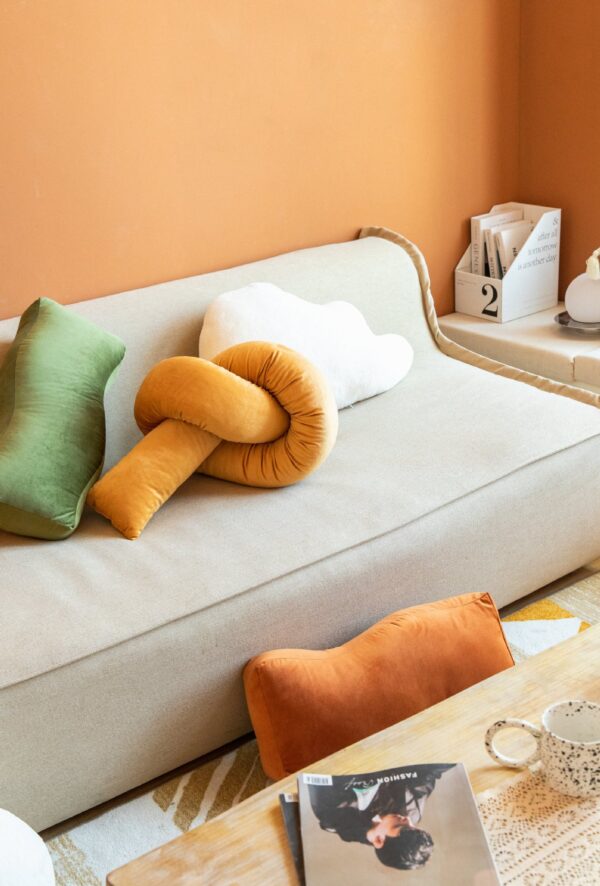 ขาย หมอนอิงตกแต่งบ้าน Designed Decor Pillow
