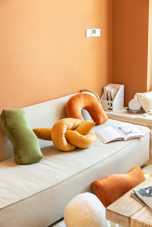 ขาย หมอนอิงตกแต่งบ้าน Designed Decor Pillow