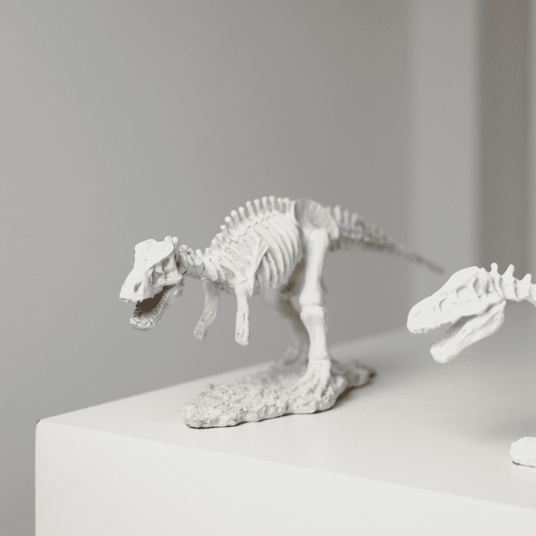 ไดโนเสาร์ตกแต่งบ้าน – Dino Decorating Prop